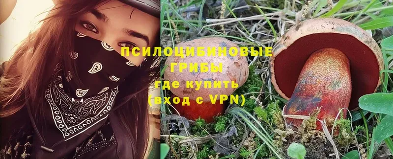 Псилоцибиновые грибы MAGIC MUSHROOMS  нарко площадка как зайти  Ивантеевка 